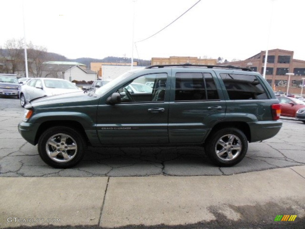 2004 Grand Cherokee Limited 4x4 - Onyx Green Pearl / Taupe photo #5