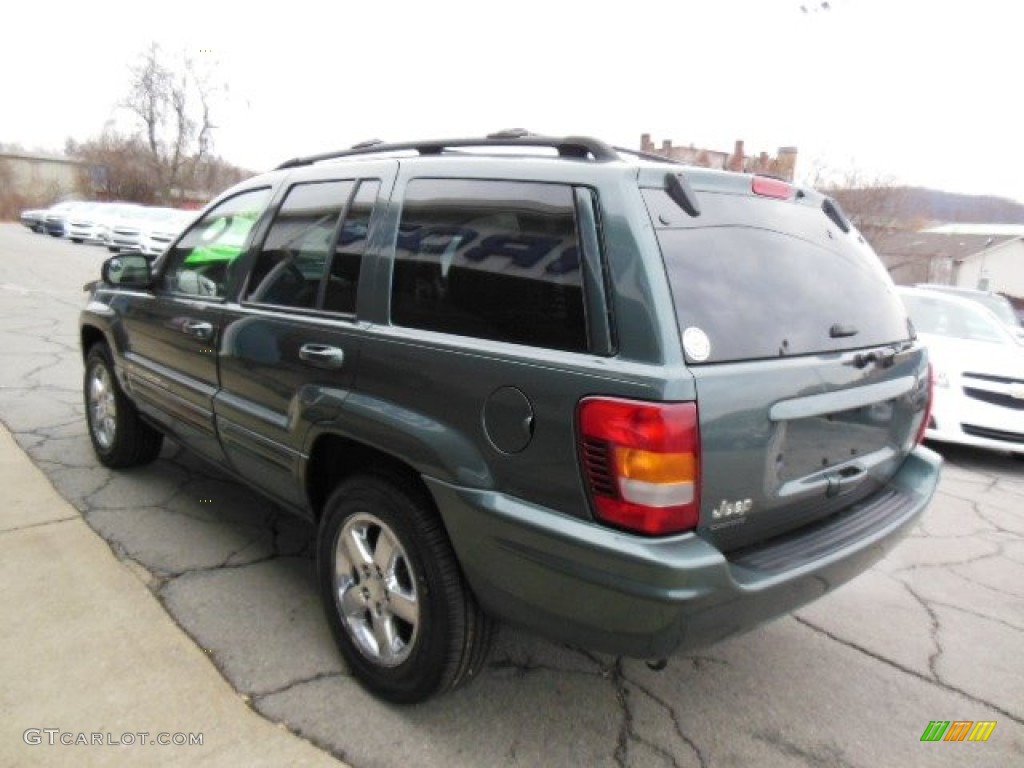 2004 Grand Cherokee Limited 4x4 - Onyx Green Pearl / Taupe photo #6