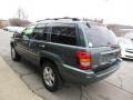 2004 Onyx Green Pearl Jeep Grand Cherokee Limited 4x4  photo #6