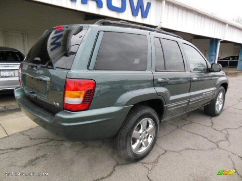 2004 Grand Cherokee Limited 4x4 - Onyx Green Pearl / Taupe photo #8