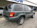 2004 Onyx Green Pearl Jeep Grand Cherokee Limited 4x4  photo #8