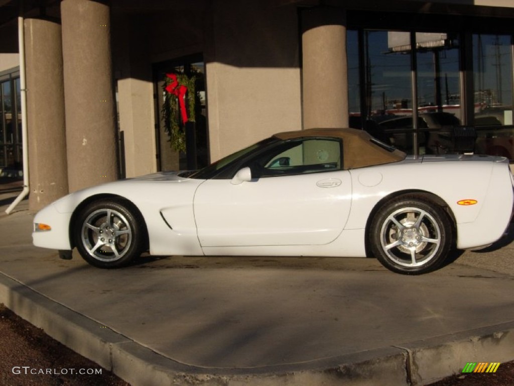 2000 Corvette Convertible - Arctic White / Light Oak photo #7
