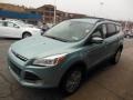 2013 Frosted Glass Metallic Ford Escape SEL 2.0L EcoBoost 4WD  photo #4