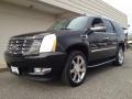 Black Raven - Escalade AWD Photo No. 1
