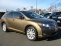 2011 Sunset Bronze Mica Toyota Venza I4  photo #3