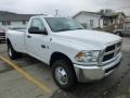 Bright White - Ram 3500 HD ST Regular Cab 4x4 Dually Photo No. 10