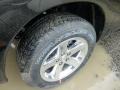 Black - 1500 Express Crew Cab 4x4 Photo No. 9