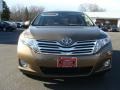 Sunset Bronze Mica - Venza V6 AWD Photo No. 2