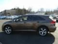 Sunset Bronze Mica - Venza V6 AWD Photo No. 7