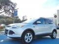 2013 Ingot Silver Metallic Ford Escape SE 2.0L EcoBoost  photo #1