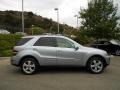 Iridium Silver Metallic - ML 350 Photo No. 2