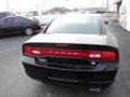 Pitch Black - Charger SE Photo No. 4