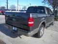 2005 Dark Stone Metallic Ford F150 Lariat SuperCrew  photo #8