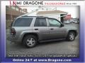 Graystone Metallic - TrailBlazer LS 4x4 Photo No. 5