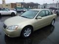 2002 Velvet Beige Nissan Altima 2.5 S  photo #2