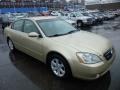 2002 Velvet Beige Nissan Altima 2.5 S  photo #3