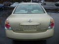 2002 Velvet Beige Nissan Altima 2.5 S  photo #11