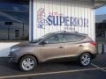 2013 Chai Bronze Hyundai Tucson GLS  photo #4