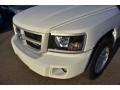 Bright White - Dakota Big Horn Crew Cab Photo No. 10