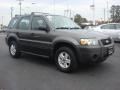 Dark Shadow Grey Metallic - Escape XLS 4WD Photo No. 2
