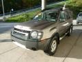Granite Metallic - Xterra XE 4x4 Photo No. 5