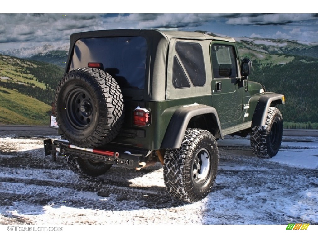 2005 Wrangler Willys Edition 4x4 - Moss Green Pearlcoat / Camouflage photo #3