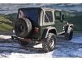 Moss Green Pearlcoat - Wrangler Willys Edition 4x4 Photo No. 3