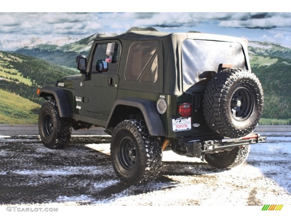 2005 Wrangler Willys Edition 4x4 - Moss Green Pearlcoat / Camouflage photo #4