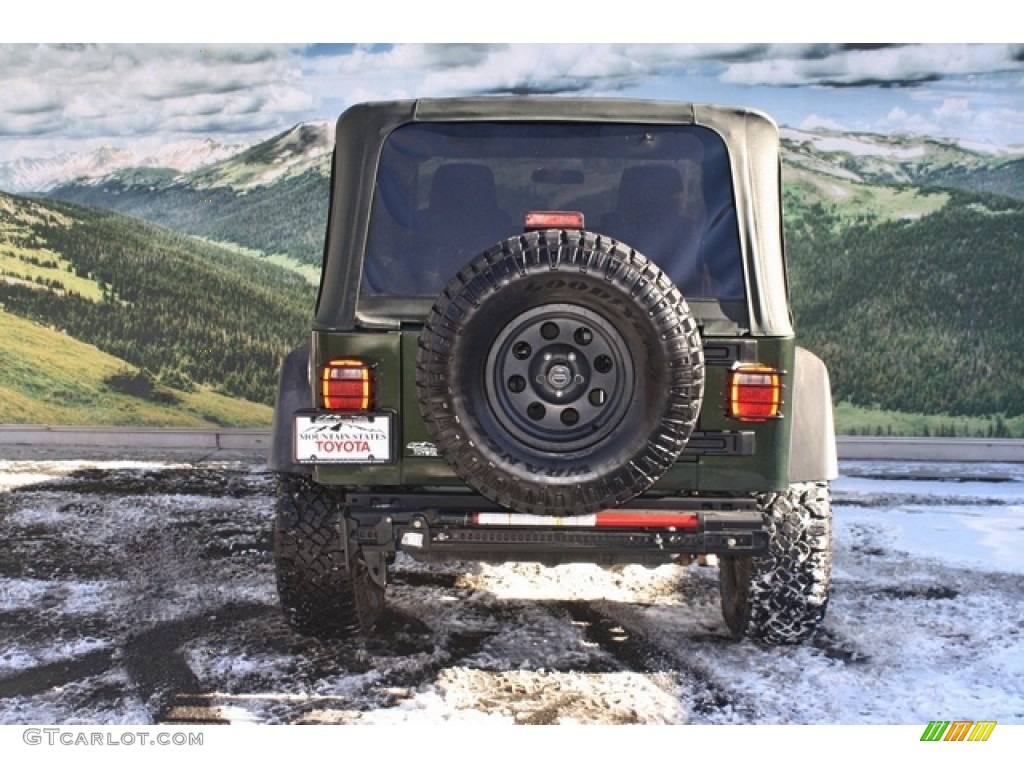 2005 Wrangler Willys Edition 4x4 - Moss Green Pearlcoat / Camouflage photo #8