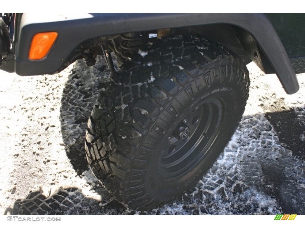 2005 Wrangler Willys Edition 4x4 - Moss Green Pearlcoat / Camouflage photo #20