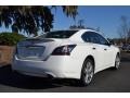 Winter Frost White - Maxima 3.5 SV Photo No. 6