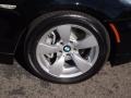 2008 BMW 5 Series 528i Sedan Wheel and Tire Photo