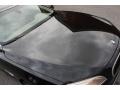 2009 Ruby Black Metallic BMW 7 Series 750Li Sedan  photo #20