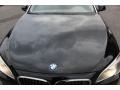 2009 Ruby Black Metallic BMW 7 Series 750Li Sedan  photo #21