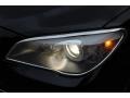 2009 Ruby Black Metallic BMW 7 Series 750Li Sedan  photo #42