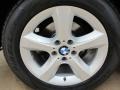 Alpine White - X5 3.0si Photo No. 11