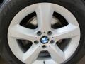 Alpine White - X5 3.0si Photo No. 12