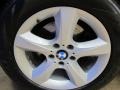 Alpine White - X5 3.0si Photo No. 13