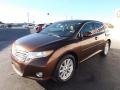 2009 Sunset Bronze Mica Toyota Venza I4  photo #3