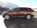 2009 Sunset Bronze Mica Toyota Venza I4  photo #4