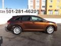 2009 Sunset Bronze Mica Toyota Venza I4  photo #8