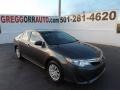 Magnetic Gray Metallic - Camry LE Photo No. 1