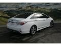 Porcelain White Pearl - Sonata Hybrid Photo No. 6