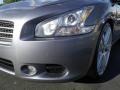 Ocean Gray - Maxima 3.5 S Photo No. 6