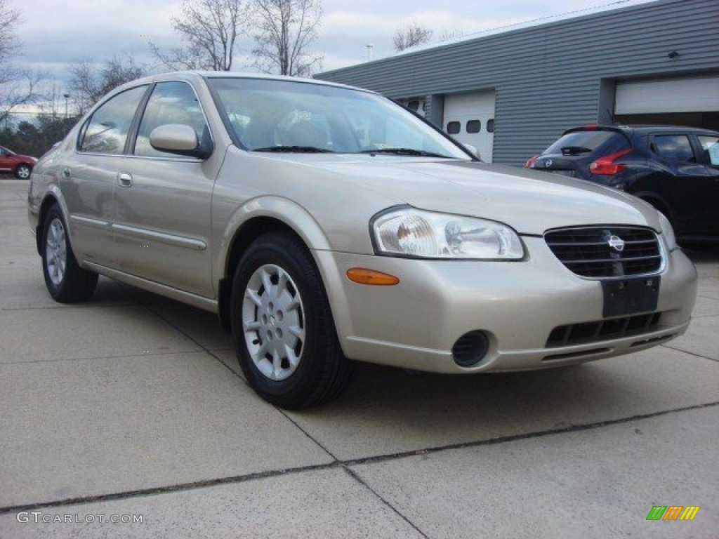 Sunlit Sand Metallic Nissan Maxima