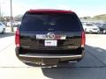 Black Raven - Escalade Platinum Photo No. 8