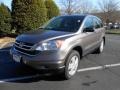 2010 Urban Titanium Metallic Honda CR-V EX  photo #3