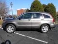 2010 Urban Titanium Metallic Honda CR-V EX  photo #4