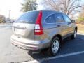 2010 Urban Titanium Metallic Honda CR-V EX  photo #7