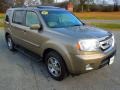 2009 Mocha Metallic Honda Pilot Touring 4WD  photo #6